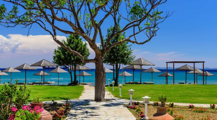 Истражувајте опкружени со бујно зелени плажи на Самос со кристална вода beach coast samos island greece