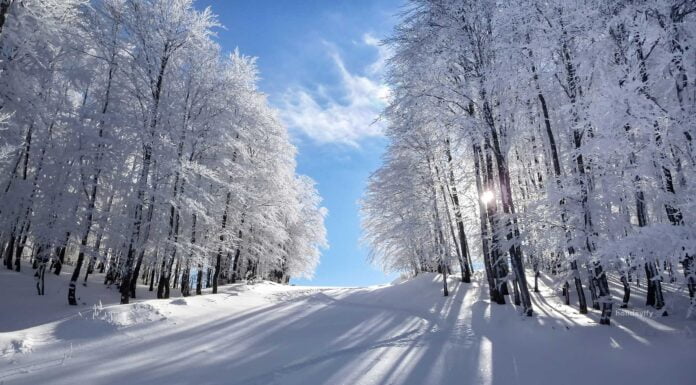 Зимни почивки в Гърция