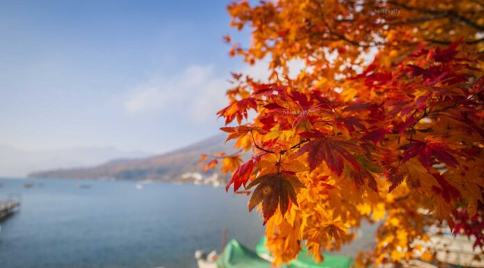 Ervaar de magie van de herfst in Griekenland: uw ultieme vakantiegids herfstvakantie griekenland