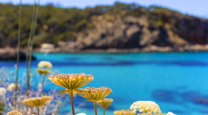 I migliori posti dove andare in vacanza in Grecia a maggio: la tua guida definitiva posti per le vacanze in Grecia maggio