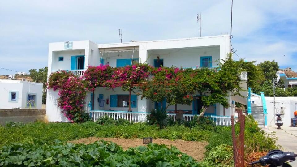 lipsi adasındaki en iyi oteller. lipi yunanistan'da nerede kalınır.